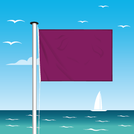 Drapeau violet : risque de pollution important ou la présence d’espèces aquatiques spécifiques.